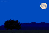 Moonset at Plum Island.j March 2011 Deep FB.jpg
