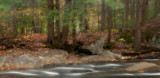 _NW06367 Woodland Stream in New Hampshire.jpg