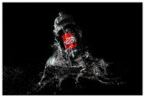 The North Face (Bottle)