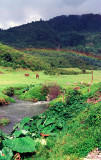 Rainbow Ixil Triangle near Nebaj, Quiche