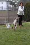 Sarge_Sophie_resized_0125.JPG