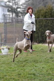 Sarge_Sophie_resized_0127.JPG