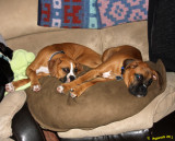 Ryder and Addie