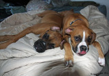 Brother and sister