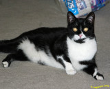 Jackson