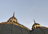Opposing domes
