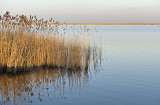 Lake Fertő (Hungary), Lake  Neusiedl (Austria)