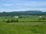 Pied de la montagne Saint-Damien 074P.jpg