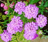 DSC06060.JPG