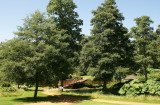 DSC05471.JPG