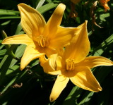 DSC05482.JPG