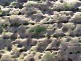 Texture of sandstone