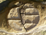 Petrified foot print ??