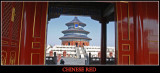 Chinese red - Banner -