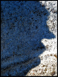 shadow  profile copy_edited-1.jpg