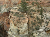 Zion-Winter-07 258.jpg