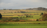 14_Jan_08 <br> Wester Ord