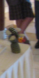 The finished product - a fruit bee.  Blurry because my telephoto isnt up to fine detail