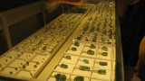 In one of the jade stores