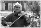 violin