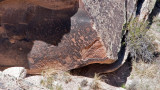 Petrified Forest NP