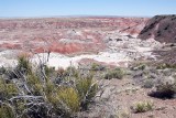 Petrified Forest NP