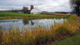 Tranquil Farm