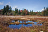 Blackwater Falls S P