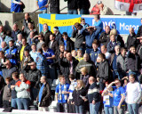 You Only Came To Watch The Swans