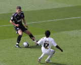 Dyer Nutmeg