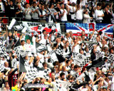 Noisy