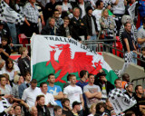Trallwn Jacks