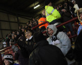 Swans Celebrate