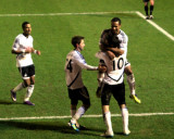 Celebrating Swans