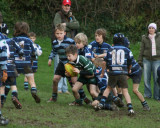 Swansea Uplands U9 Section v Mumbles RFC