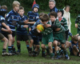 Swansea Uplands U9 Section v Mumbles RFC
