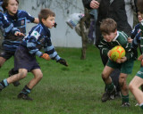 Swansea Uplands U9 Section v Mumbles RFC