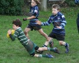 Toms try