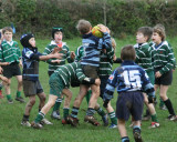 Swansea Uplands U9 Section v Mumbles RFC