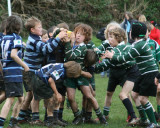 Swansea Uplands U9 Section v Mumbles RFC