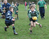 Swansea Uplands U9 Section v Mumbles RFC