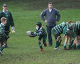 Scrum Half