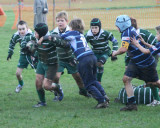 Swansea Uplands U10 v Mumbles RFC