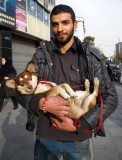 Arash Holding Yashar