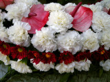 Flowers For Dead