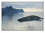 Salmonfarms again................