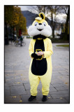 75. Yellow rabbit.......