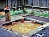 Monte in Kennnedy Hot Springs_ ( Oct. 1977 ) Destroyed By Side Oct. 2003
