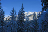  Snowshoeing Back Toward Stehkin On a LOvely Sunday Morning!!
