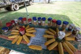 Local produce